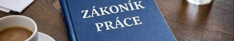 Orientace v&nbsp;pracovně právních vztazích II. 