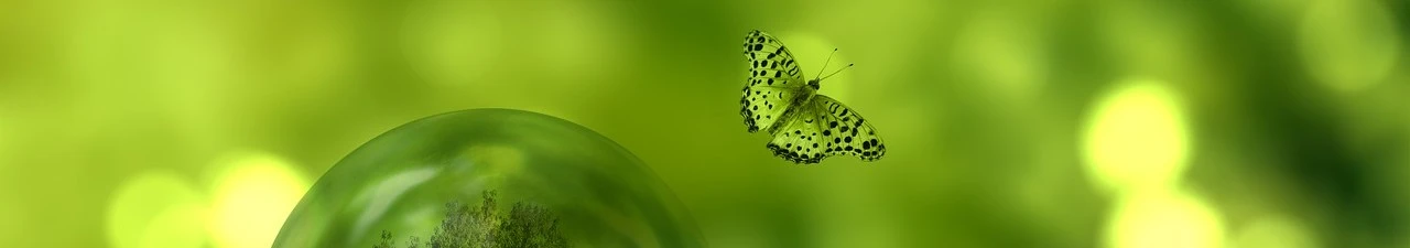 Environmentální a prevenční programy