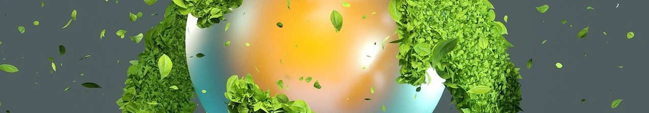 Environmentální a prevenční programy