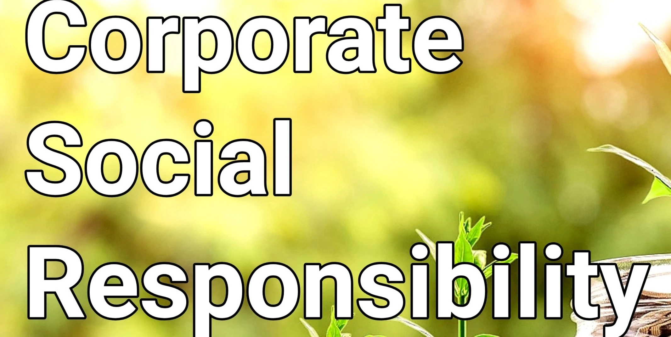 Hodnocení a&nbsp;posuzování společenské odpovědnosti organizací (CSR)