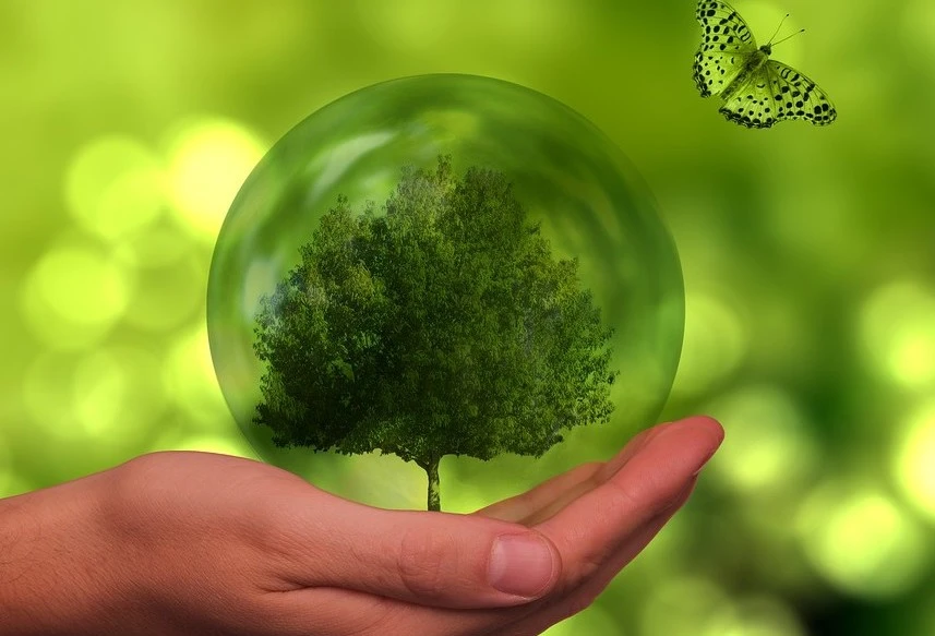 Podnikový ekolog prakticky