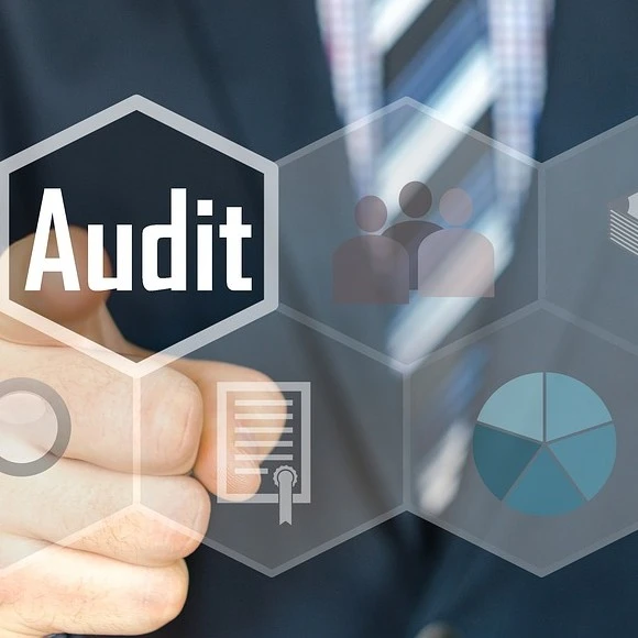 Auditor 4