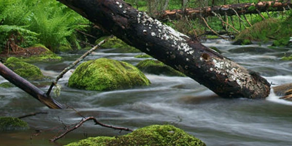 DTO CZ slaví další várku úspěšných absolventů